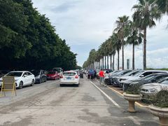 -大湾区中央湿地公园-十九涌