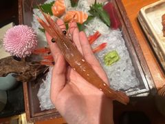 -月龍吟(朝龙汇店)