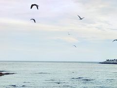 -星海广场