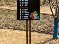 -上海滨江森林公园