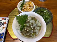 芥末章鱼-有喜屋·深夜食堂(北京西路店)