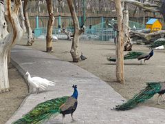 -水上乐园·欢乐世界