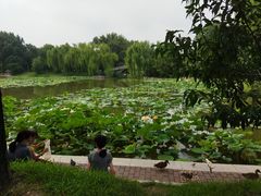 -皇家御河游(紫御湾码头)