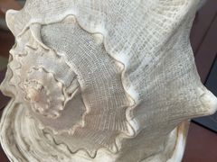 -奥龙堡游泳馆(广纸店)