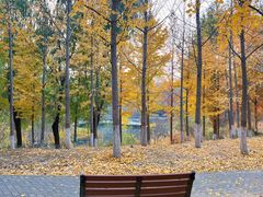 -大兴滨河森林公园