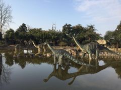 -自贡恐龙博物馆