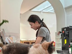 -有猫主题·治愈系猫咖(曾厝垵店)