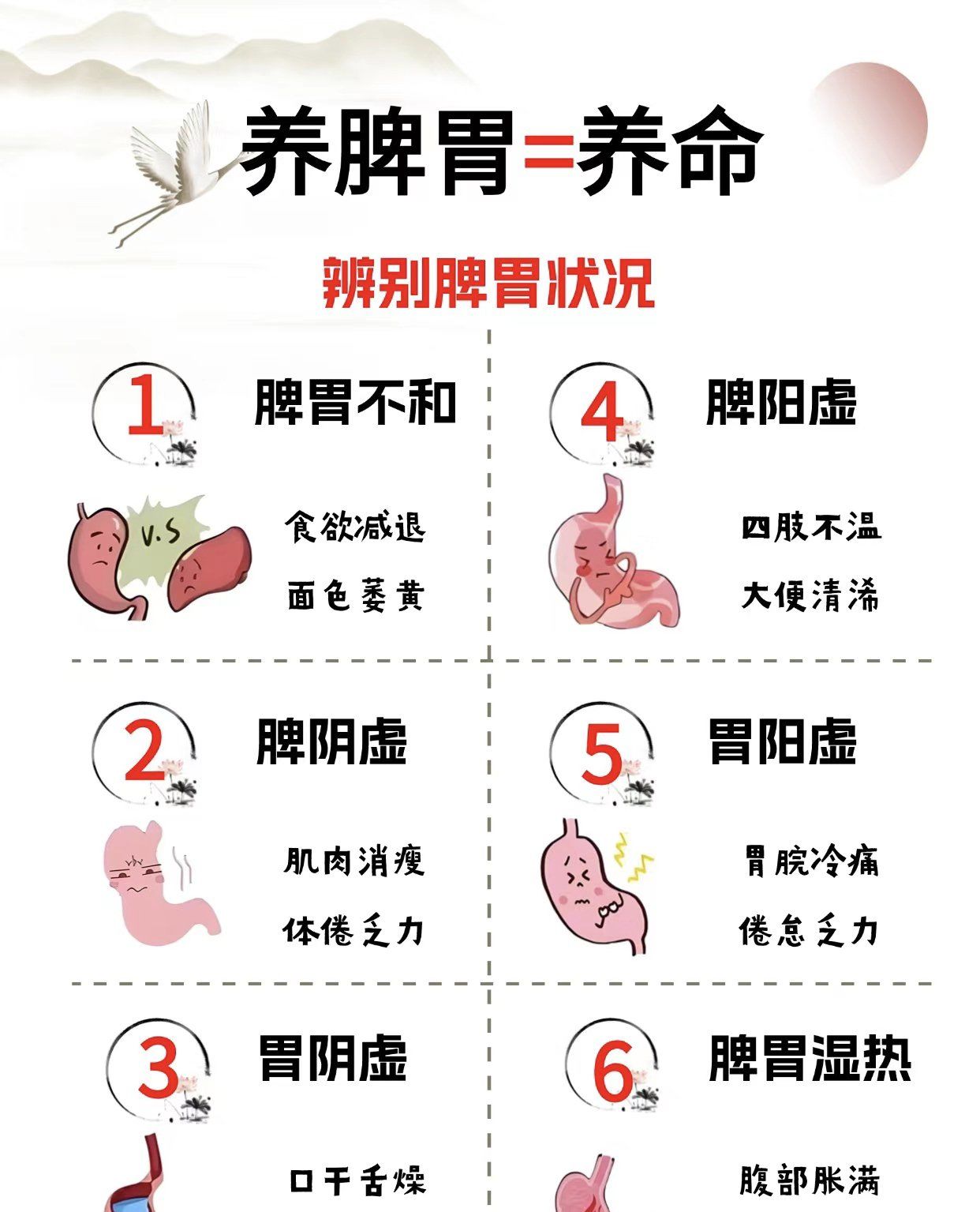 老中医说脾胃虚就这样吃!