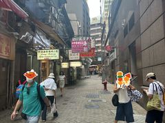 -珍妮曲奇聪明小熊(上环店)