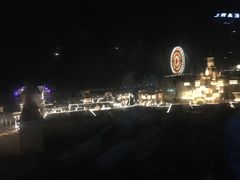 -芽庄珍珠岛游乐园