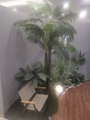 -八佰伴8008星级形象店