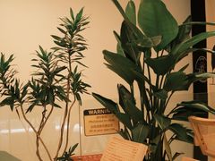 -Line 咖啡(石厦花园店)