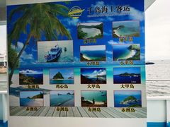 -霞涌市场海鲜摆卖区