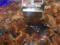 -盒马鲜生(悦峰店)