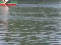 -共青国家森林公园-售票处
