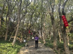 -宁波市保国寺古建筑博物馆