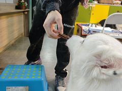 -严国平动物医院(德政总院)