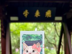 -灵隐飞来峰景区