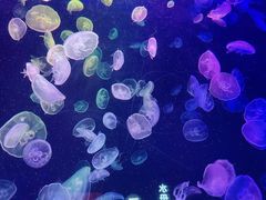 -南京海底世界
