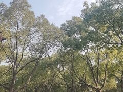 -汤山公园