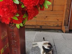 -六鼎山文化旅游区