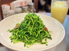 鸡油腊味炒豆苗-潮界(凯德晶萃店)