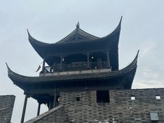 -吴越荣记·苏州菜·松鼠桂鱼(娄门景区店)