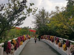 -青枫公园