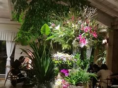 -春暖花开(西溪店)