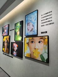 -大树儿童摄影