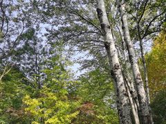 -西安市长乐公园