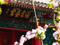 -元大都城垣遗址公园