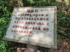 -上海佘山国家森林公园天马山园