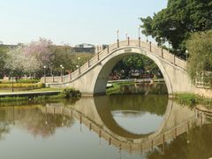 -金砂公园