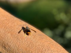 -花岩国家森林公园