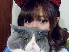 -宠物星动物医院·眼科·异宠·猫科(江南大道总院)