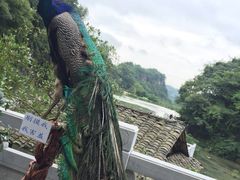 -天河潭旅游度假区