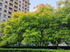 -友谊新天地广场(金街店)