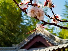 -趵突泉景区