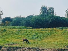 -方城县七峰山生态旅游区