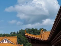 -深圳仙湖植物园