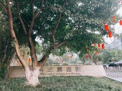 -沙河三洞古桥公园