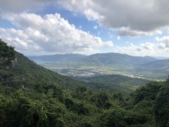 -三亚亚龙湾人间天堂鸟巢度假村