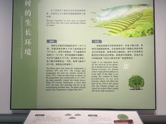 -中国茶叶博物馆(双峰馆区)