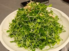 豆苗核桃仁-燕春楼(海河华鼎店)