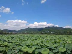 -古田会议纪念馆