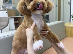 -达爱动物医院·犬猫分区·CT·复杂眼科(远洋山水分院)