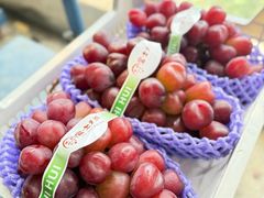 -马陆小张葡萄园农家乐