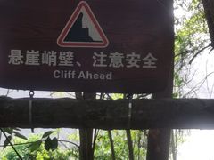 -铁山坪森林公园