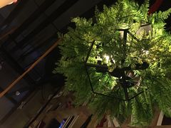 大堂-枫叶林咖啡(华商店)